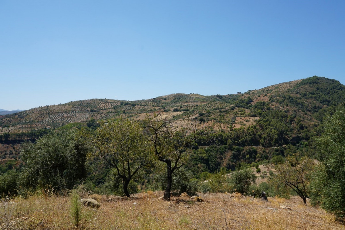 Se vende Finca - Cortijo de 3 dormitorios en Costa Del Sol, Málaga, España