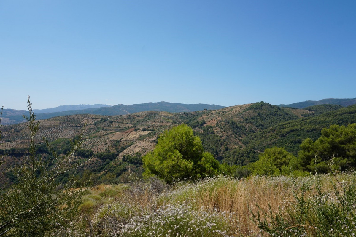Se vende Finca - Cortijo de 3 dormitorios en Costa Del Sol, Málaga, España