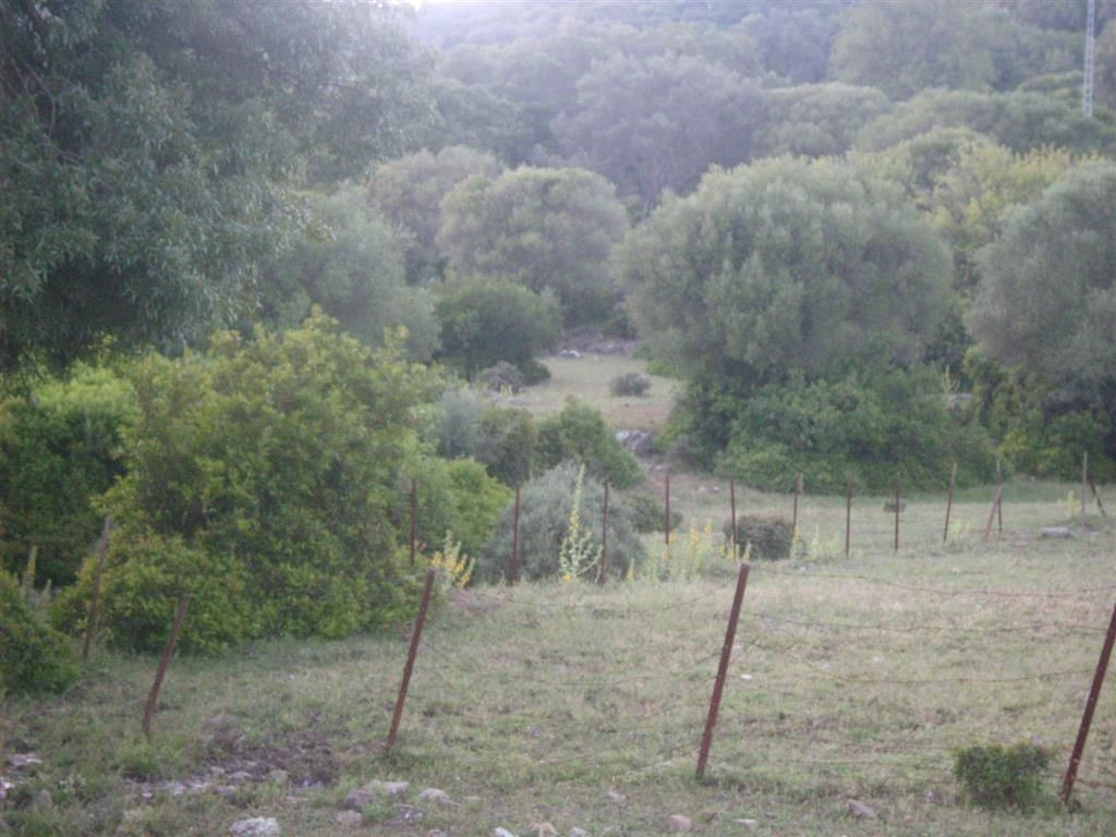 Se vende Terreno Rustico  en Costa Del Sol, Málaga, España