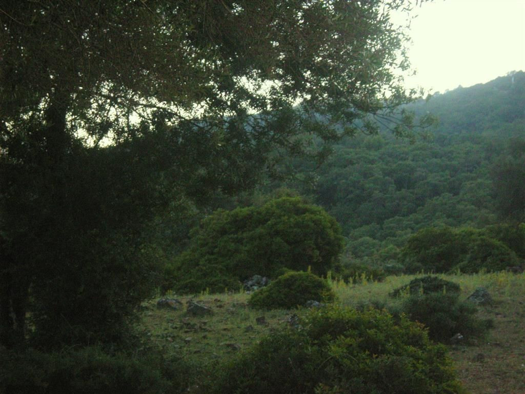 Se vende Terreno Rustico  en Costa Del Sol, Málaga, España