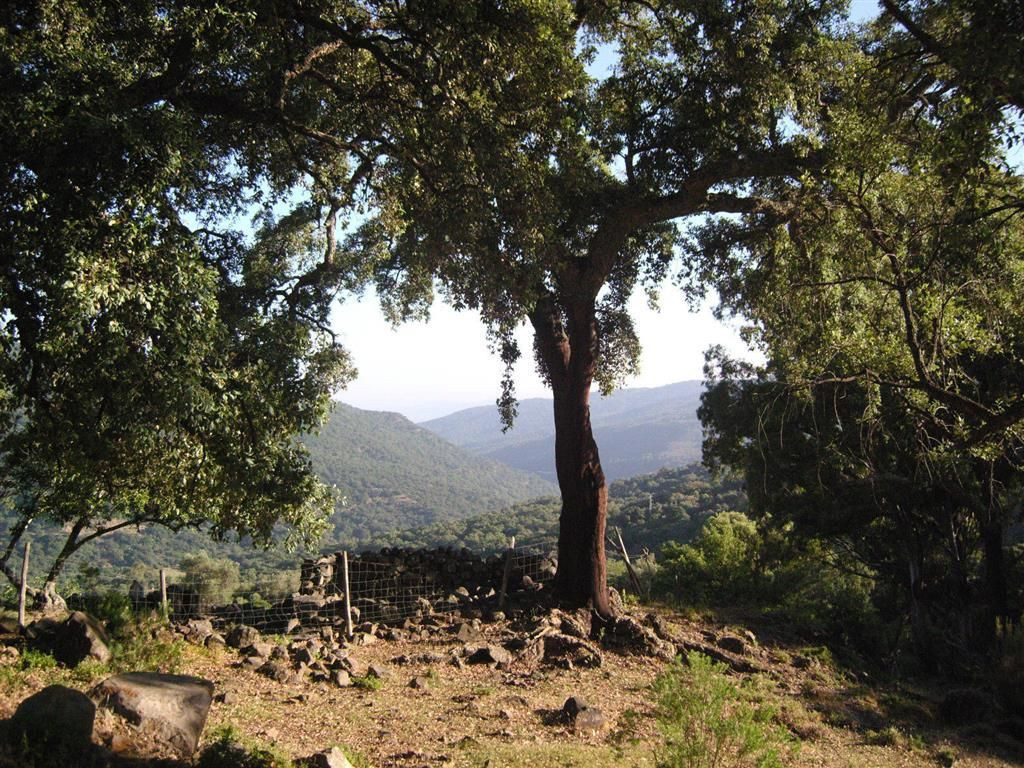 Se vende Terreno Rustico  en Costa Del Sol, Málaga, España