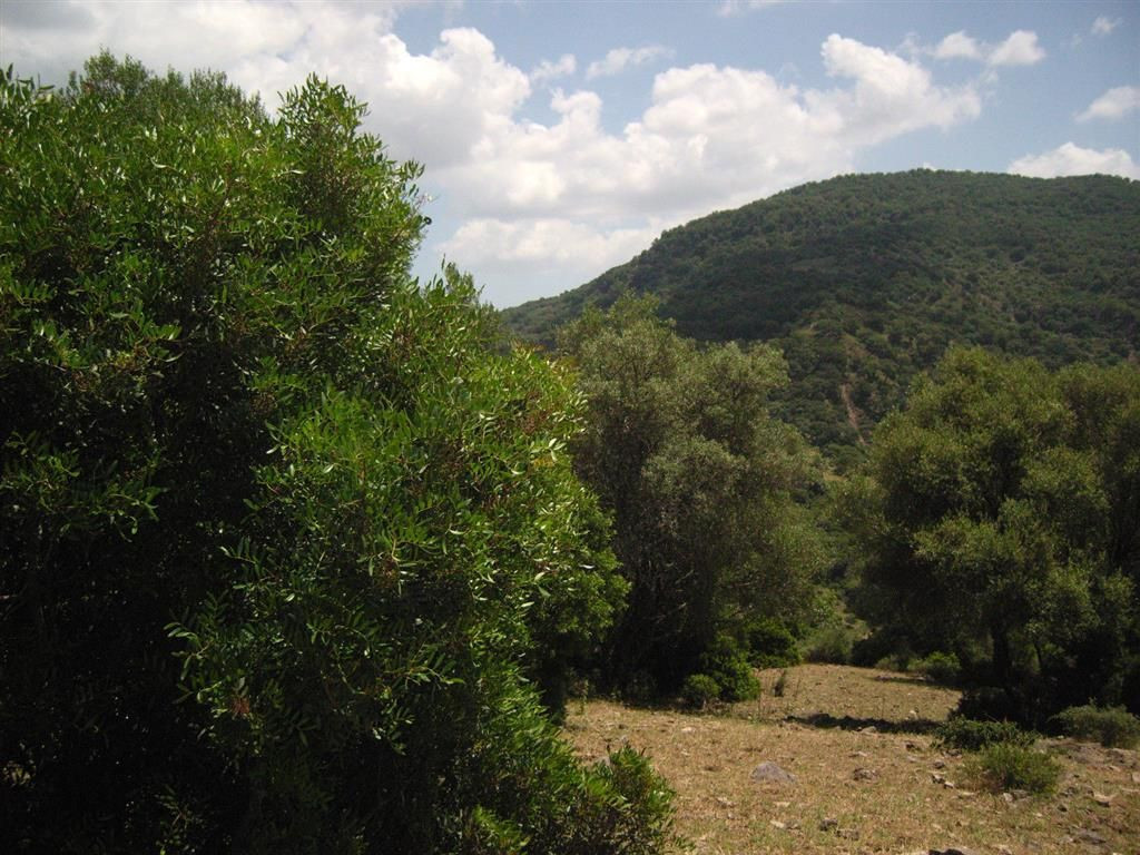 Se vende Terreno Rustico  en Costa Del Sol, Málaga, España