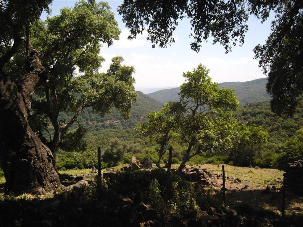 Se vende Terreno Rustico  en Costa Del Sol, Málaga, España