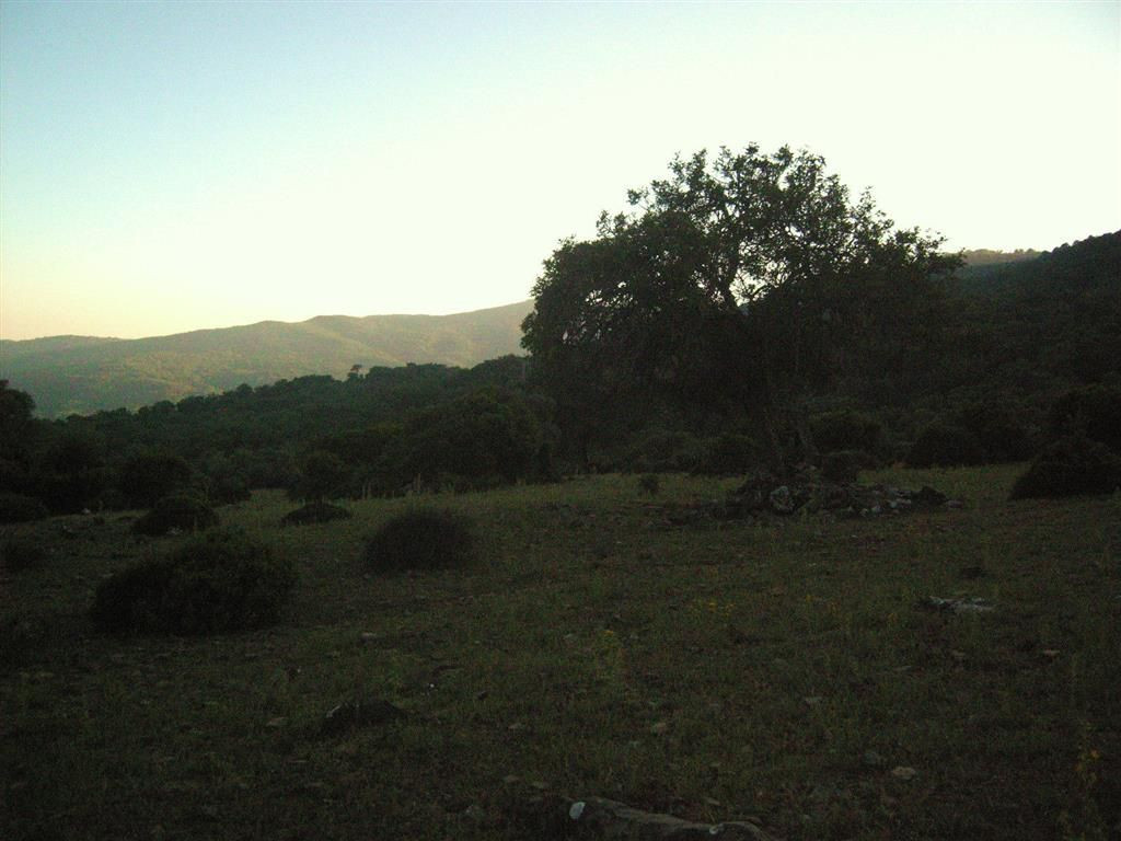 Se vende Terreno Rustico  en Costa Del Sol, Málaga, España