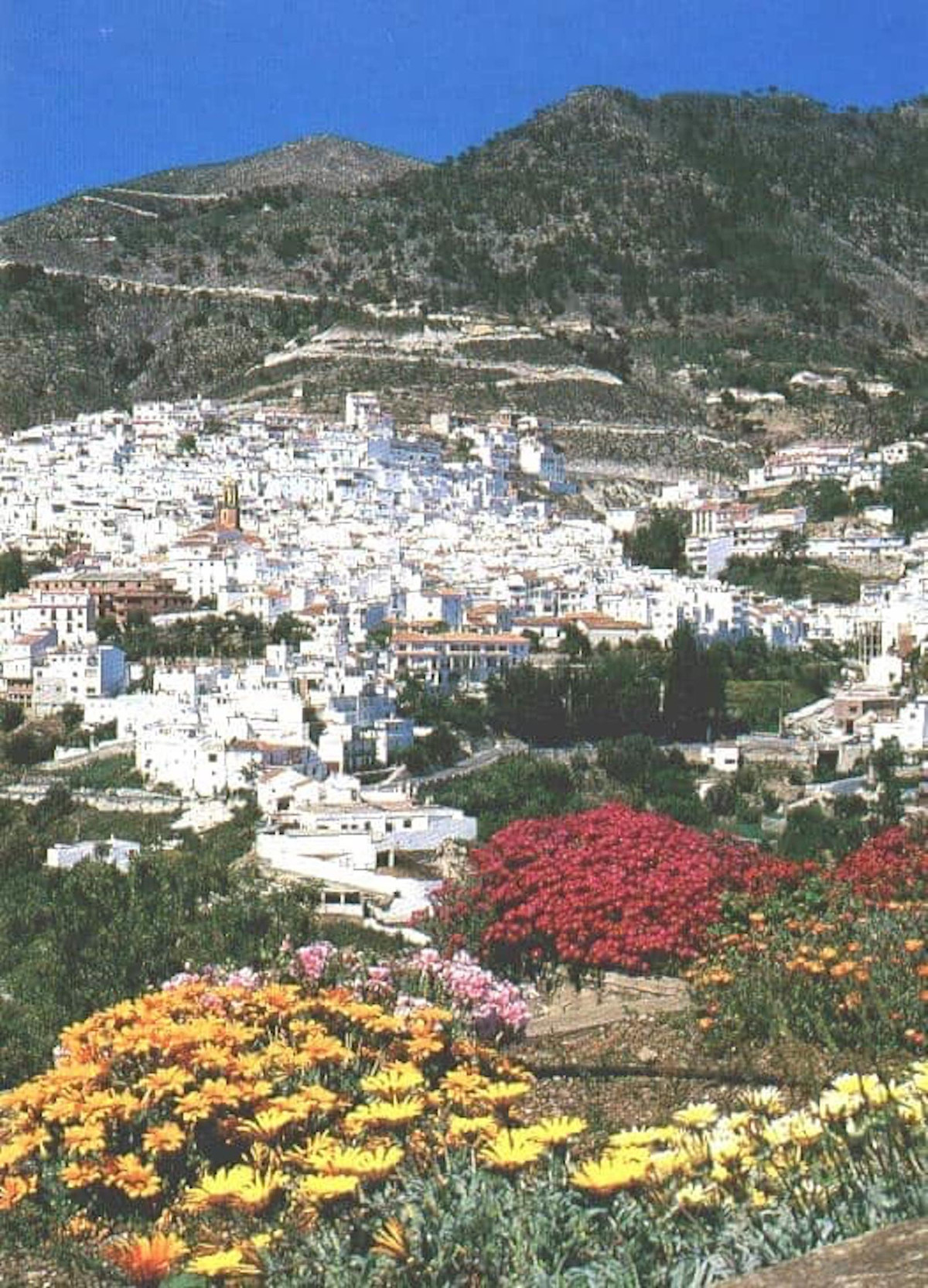 Se vende Terreno Rustico  en Costa Del Sol East, Málaga, España