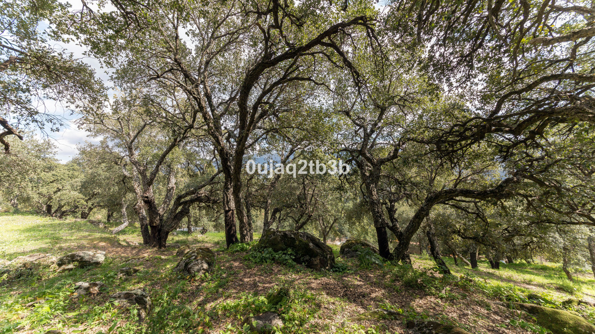 Se vende Finca - Cortijo de 3 dormitorios en Costa Del Sol, Málaga, España