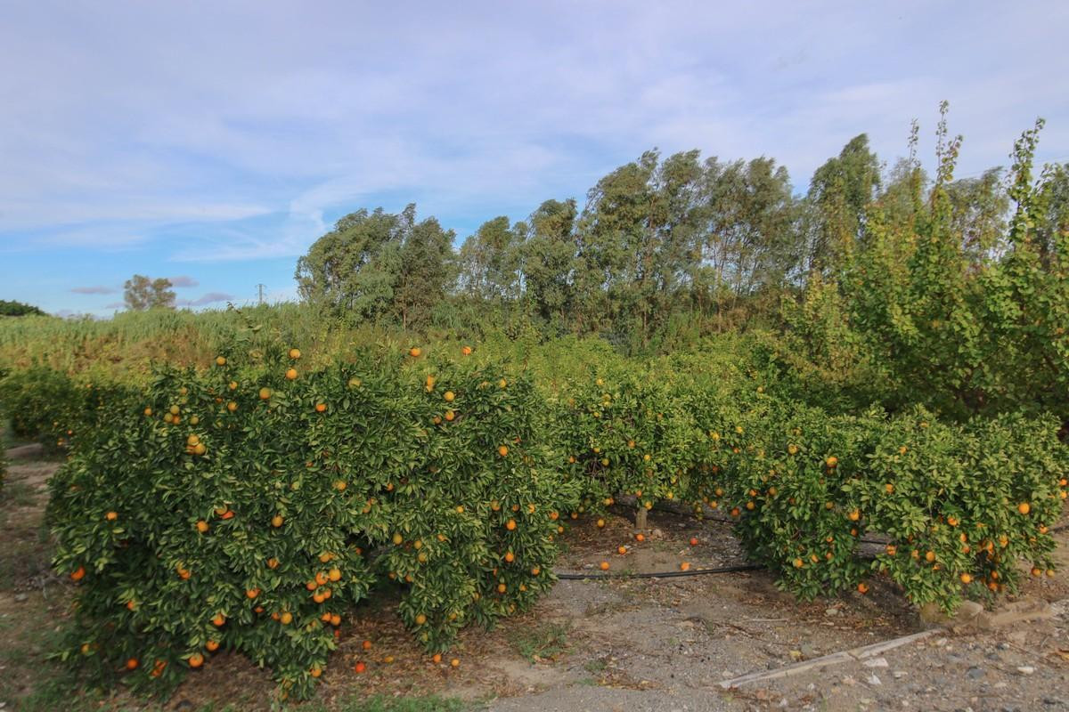 Plots for sale in Coín Costa Del Sol, Málaga, Spain