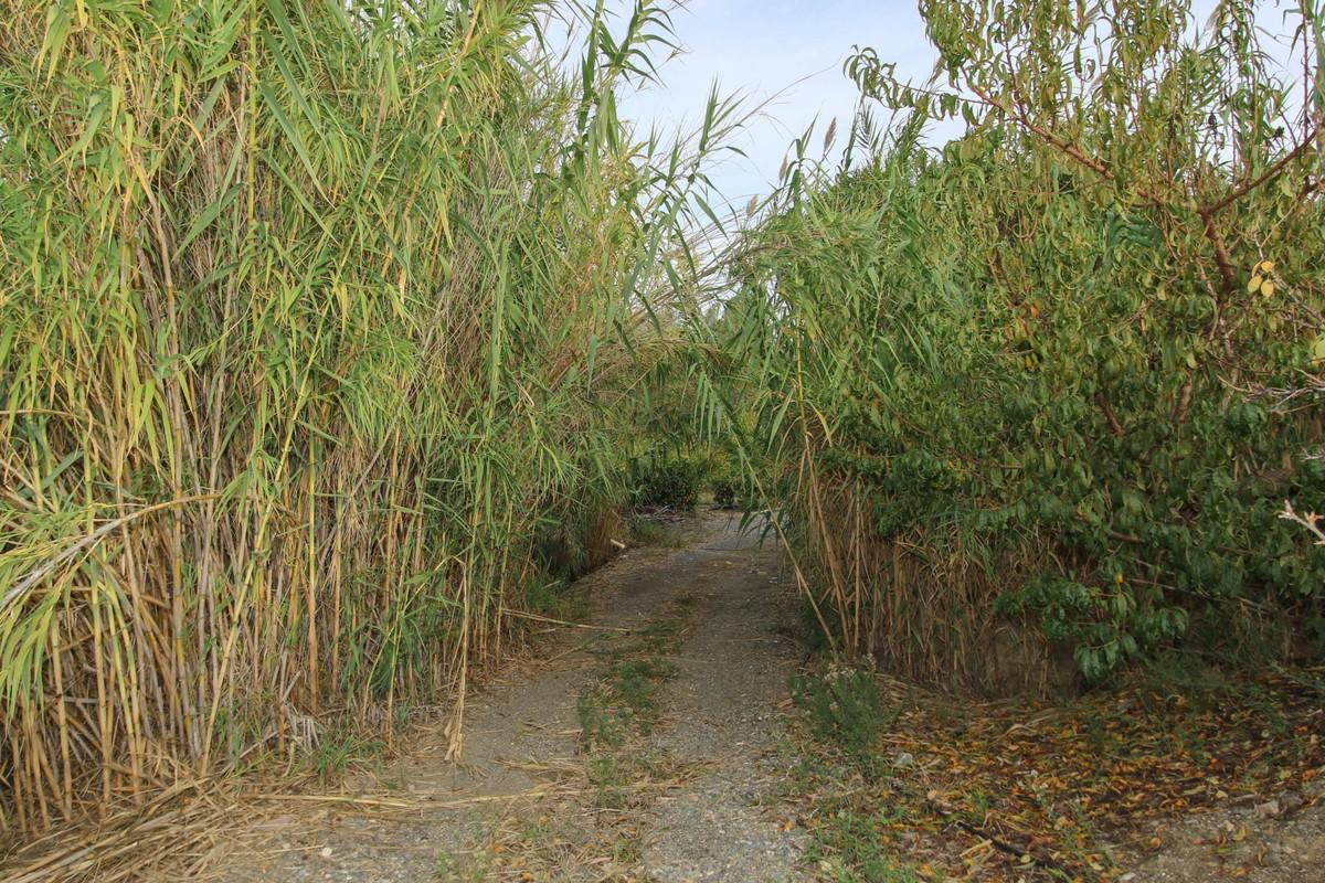 Plots for sale in Coín Costa Del Sol, Málaga, Spain