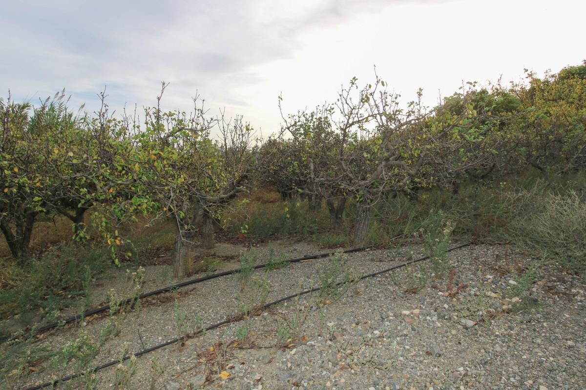 Plots for sale in Coín Costa Del Sol, Málaga, Spain