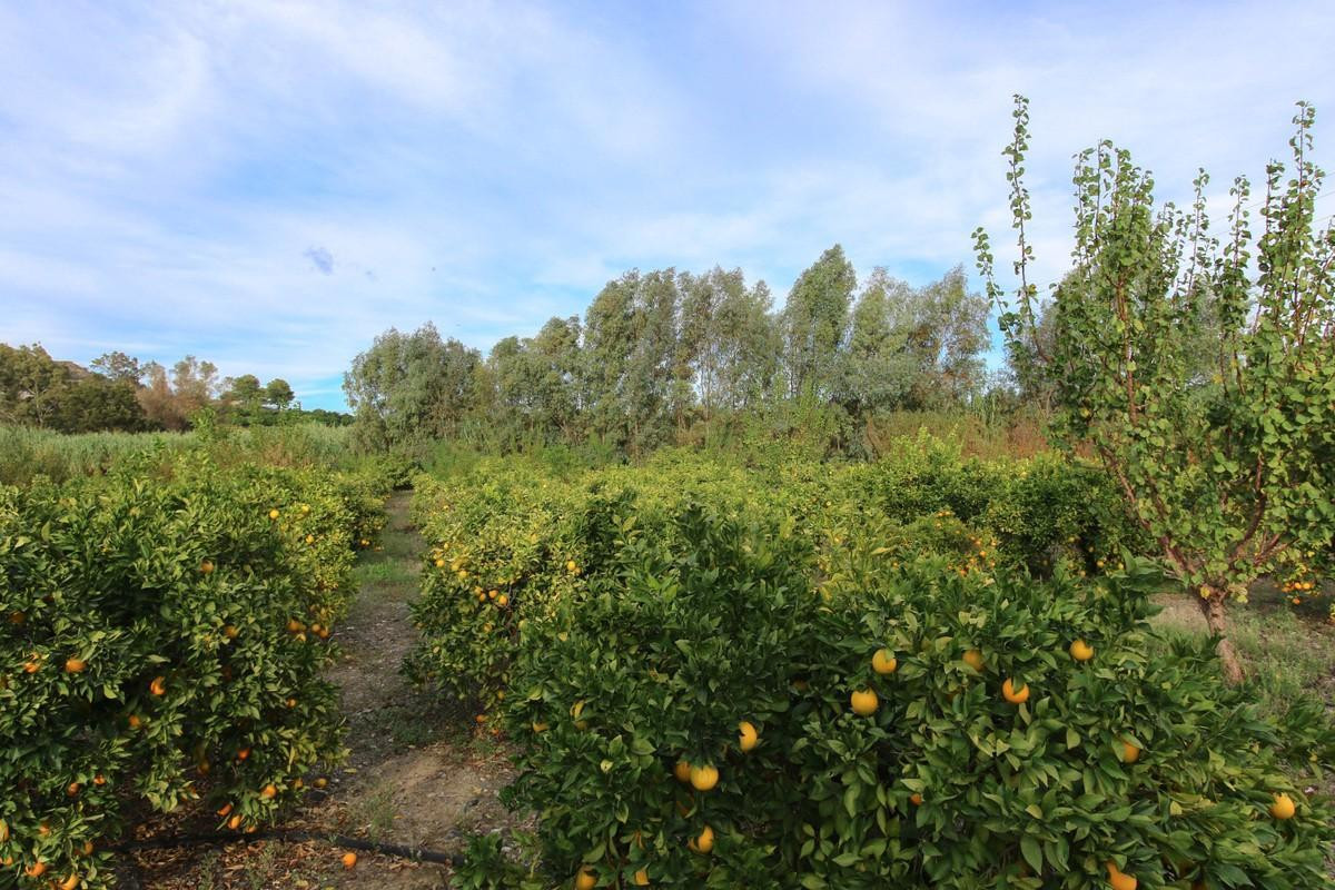 Plots for sale in Coín Costa Del Sol, Málaga, Spain