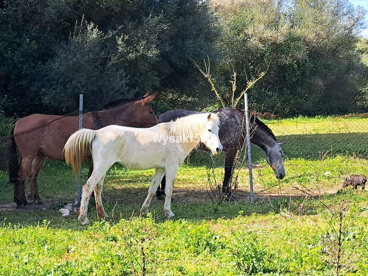 Se vende Terreno Rustico  en Costa Del Sol, Cadiz, España