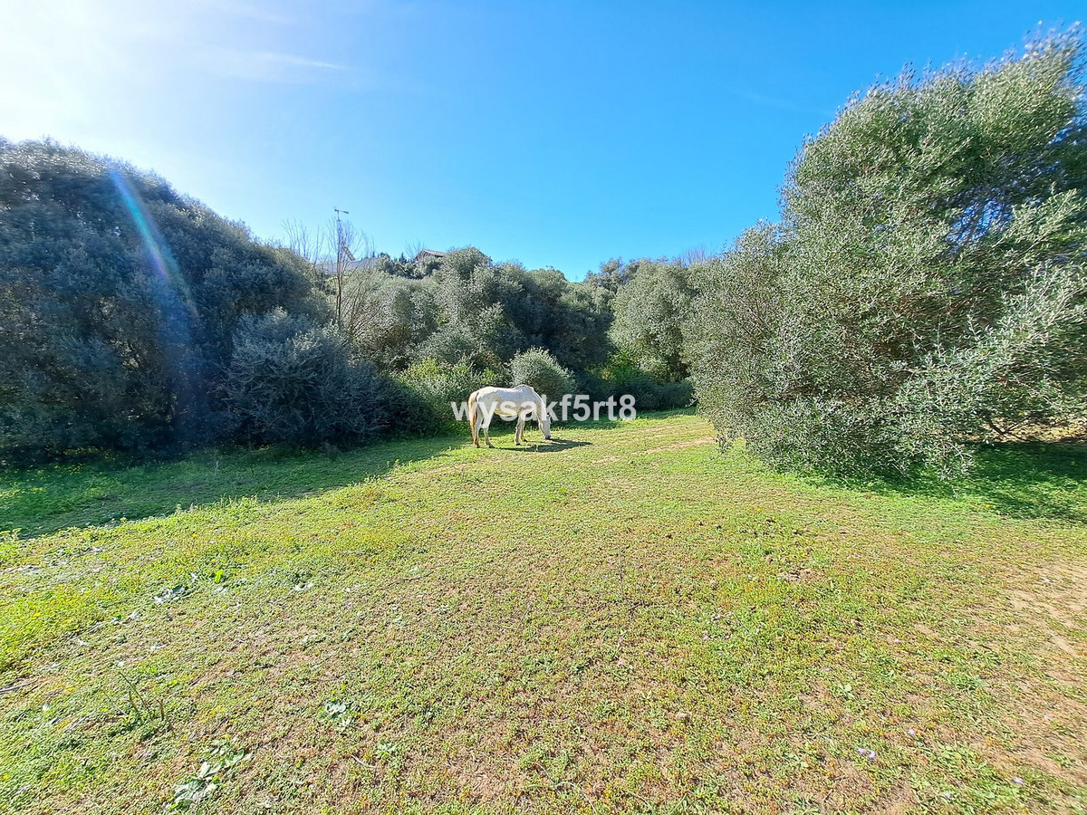 Se vende Terreno Rustico  en Costa Del Sol, Cadiz, España
