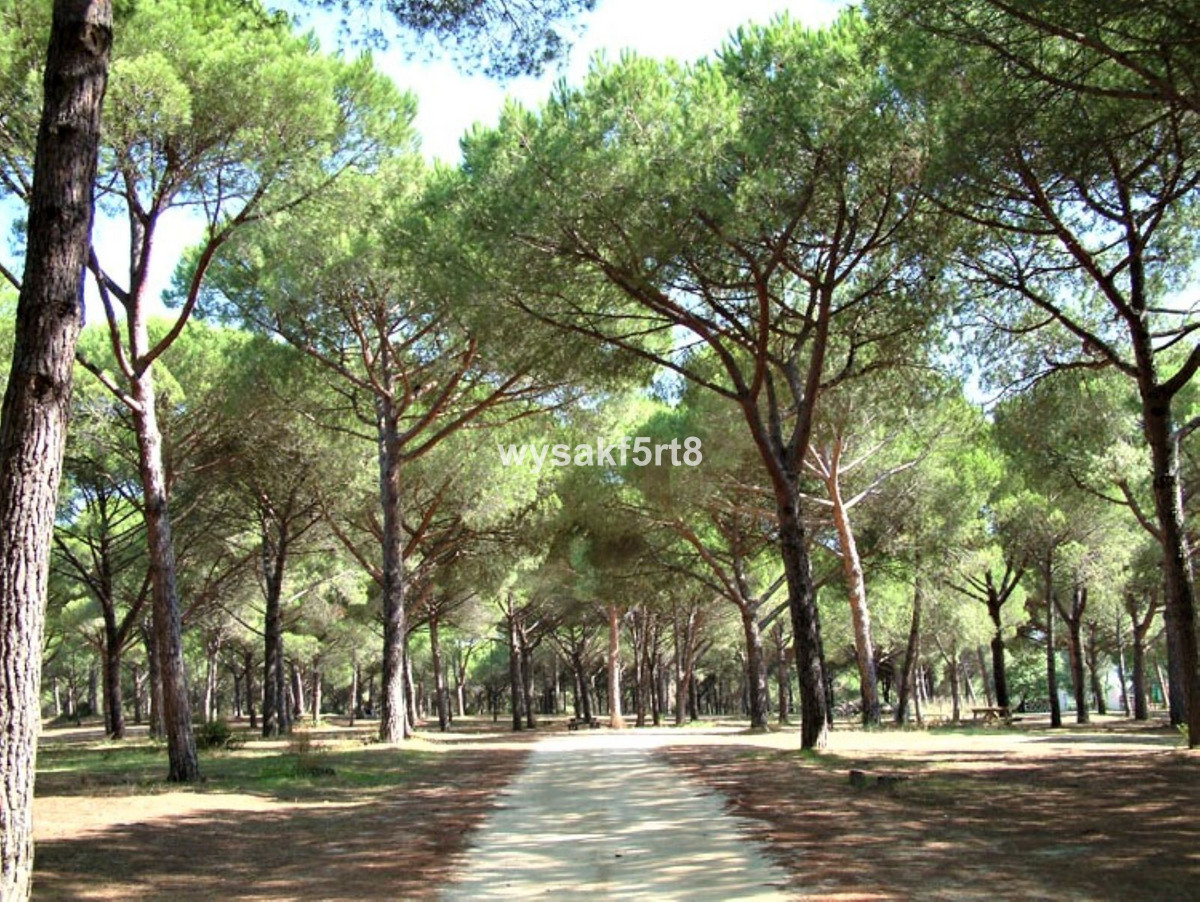 Se vende Terreno Rustico  en Costa Del Sol, Cadiz, España