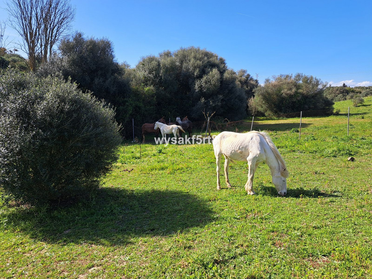 Se vende Terreno Rustico  en Costa Del Sol, Cadiz, España