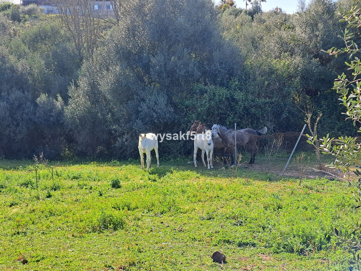 Se vende Terreno Rustico  en Costa Del Sol, Cadiz, España