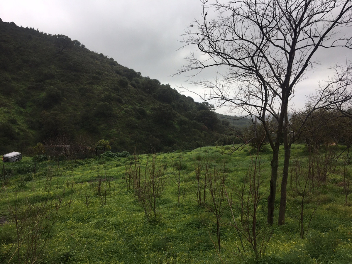 Se vende Terreno Rustico  en Costa Del Sol, Málaga, España