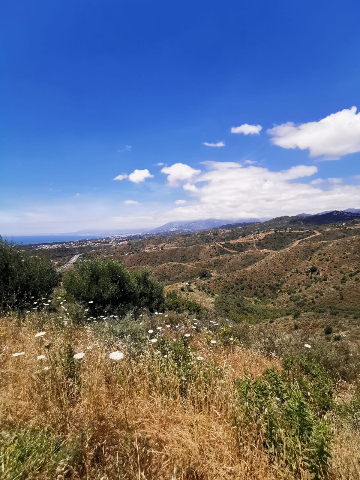 Se vende Terreno Rustico  en Costa Del Sol, Málaga, España
