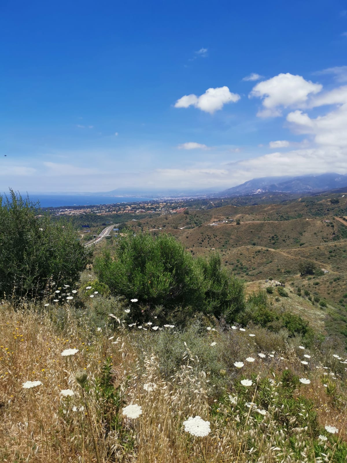 Se vende Terreno Rustico  en Costa Del Sol, Málaga, España