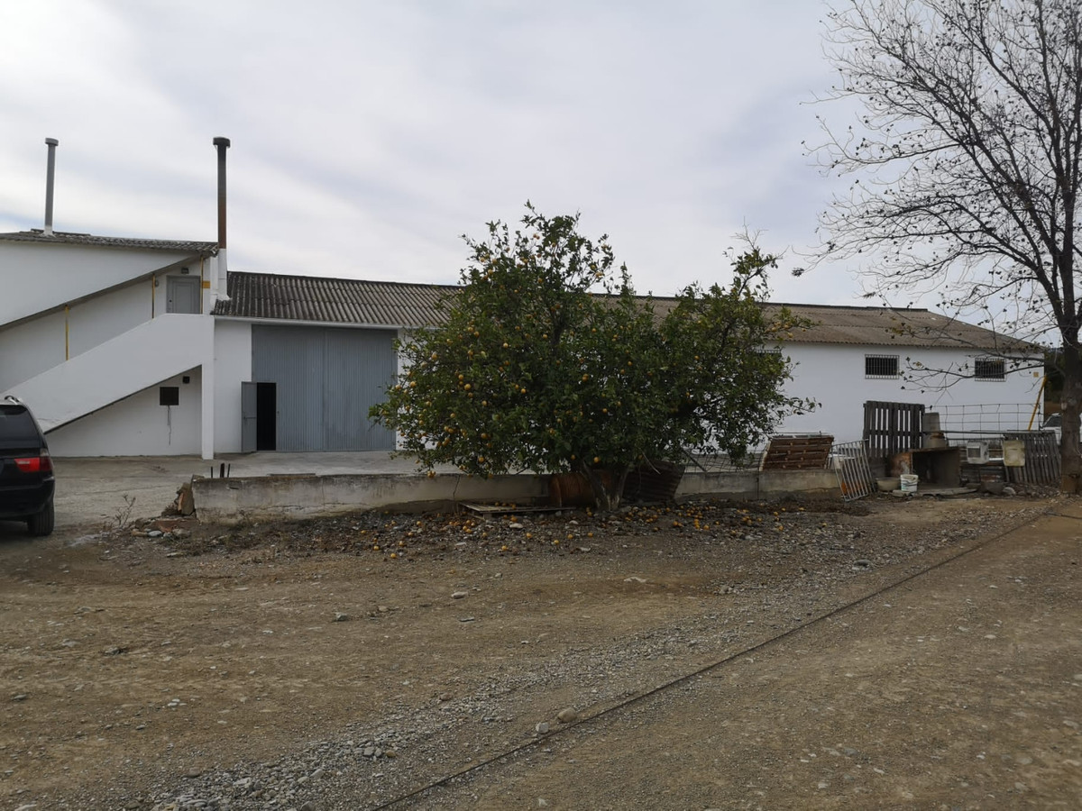 Se vende Terreno Rustico  en Costa Del Sol, Málaga, España