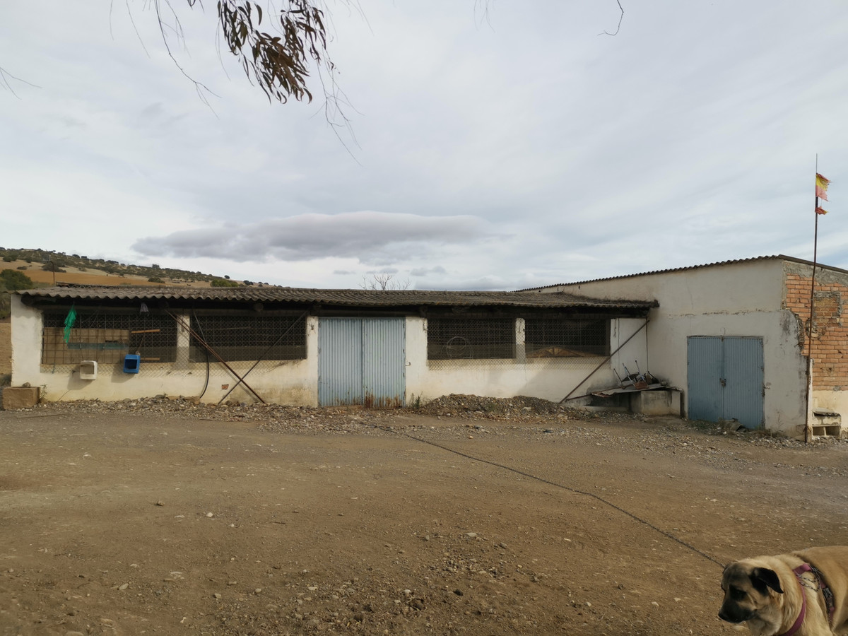 Se vende Terreno Rustico  en Costa Del Sol, Málaga, España