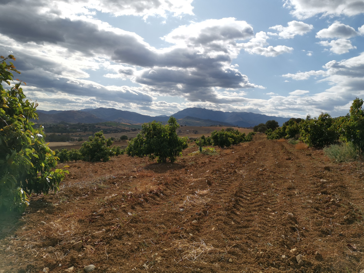 Se vende Terreno Rustico  en Costa Del Sol, Málaga, España