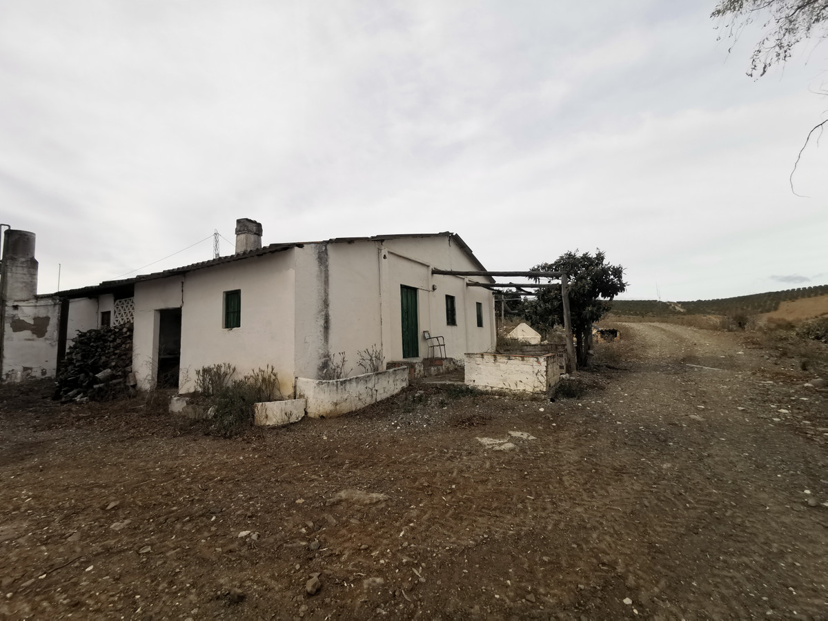 Se vende Terreno Rustico  en Costa Del Sol, Málaga, España