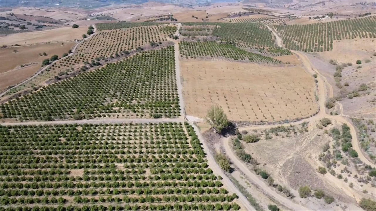 Se vende Terreno Rustico  en Costa Del Sol, Málaga, España