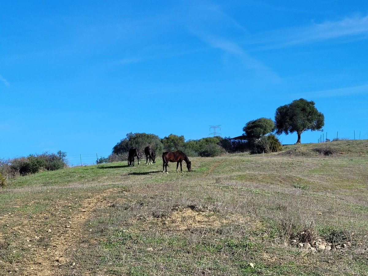 Se vende Villa - Chalet de 6 dormitorios en Costa Del Sol, Cadiz, España