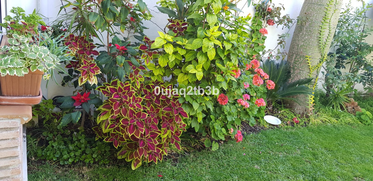Se vende Villa - Chalet de 5 dormitorios en Costa Del Sol, Málaga, España