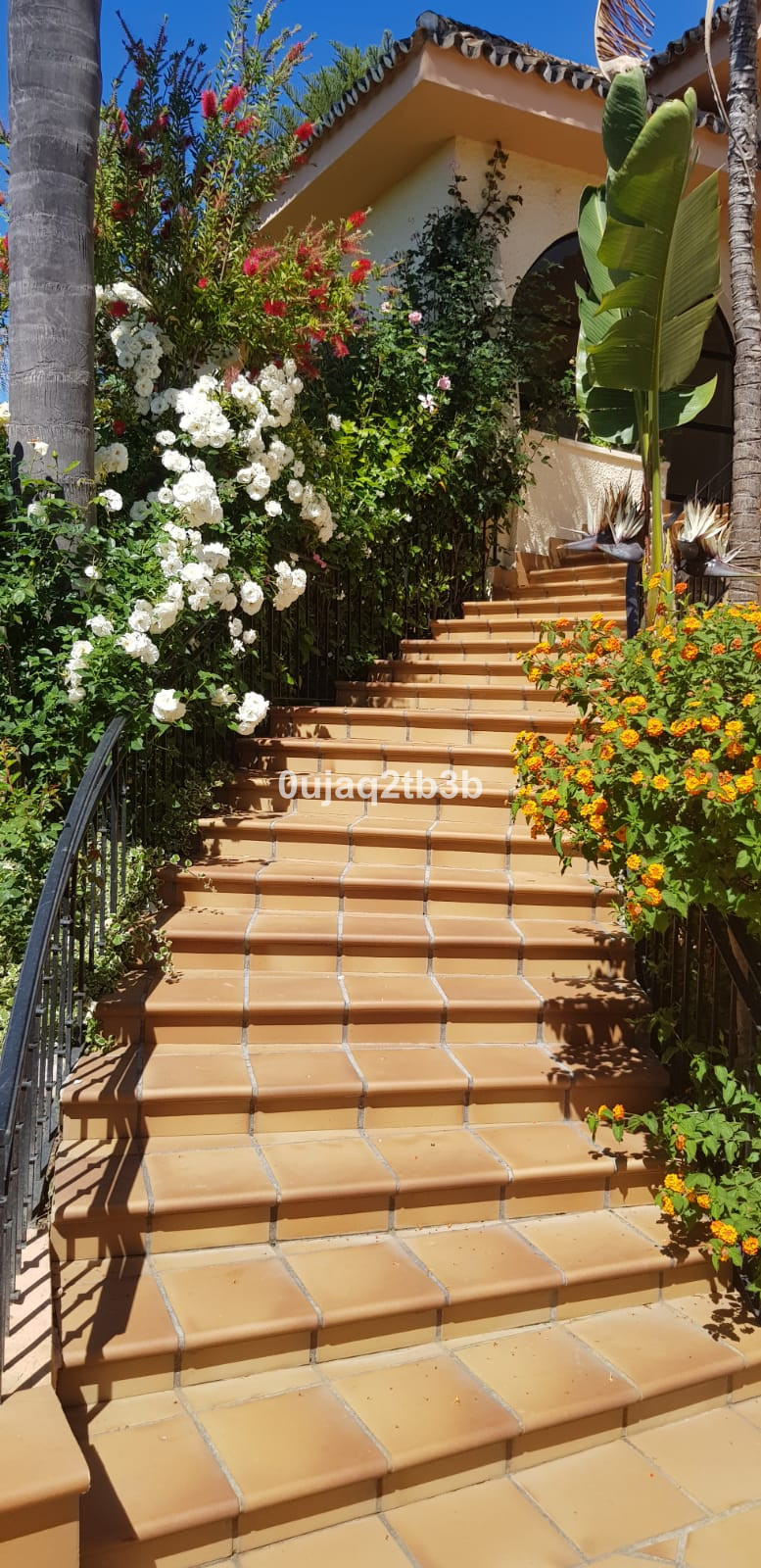 Se vende Villa - Chalet de 5 dormitorios en Costa Del Sol, Málaga, España