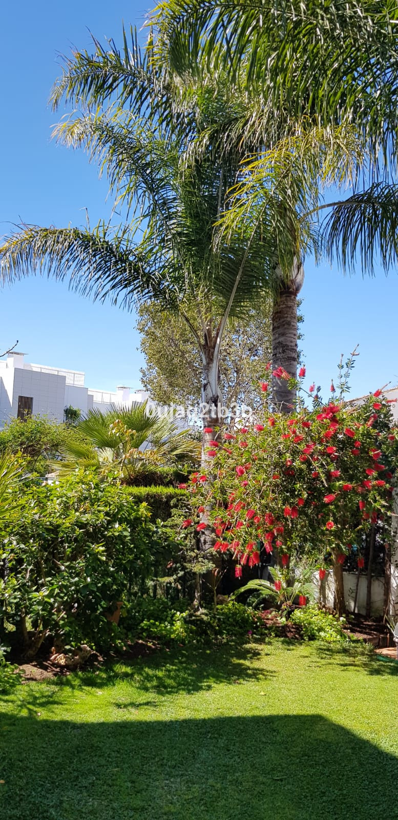 Se vende Villa - Chalet de 5 dormitorios en Costa Del Sol, Málaga, España