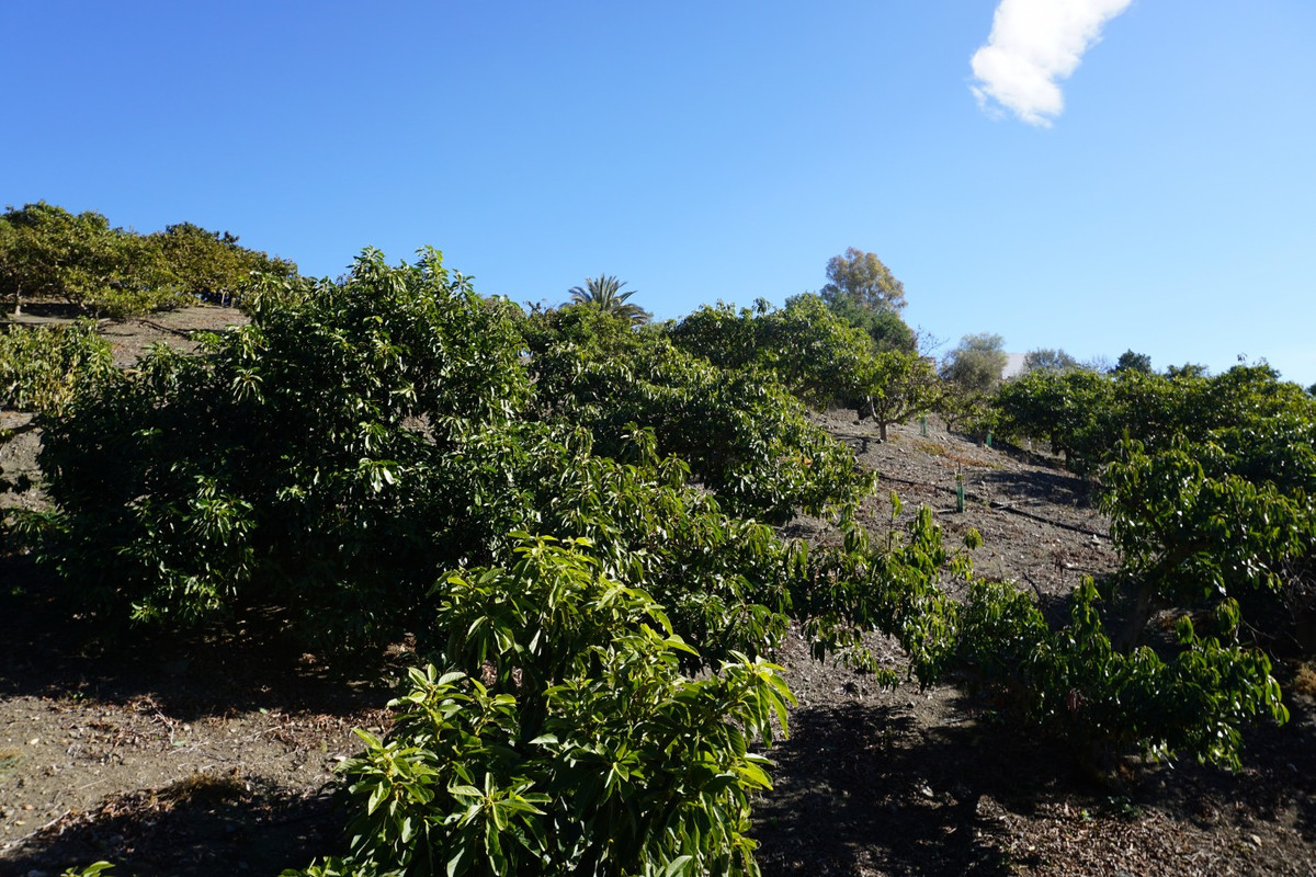 Se vende Finca - Cortijo de 3 dormitorios en Costa Del Sol East, Málaga, España