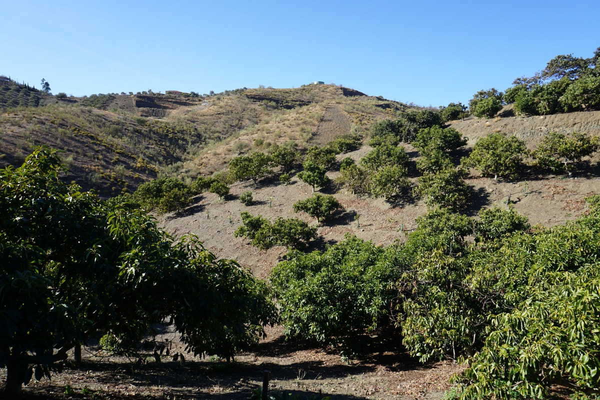 Se vende Finca - Cortijo de 3 dormitorios en Costa Del Sol East, Málaga, España