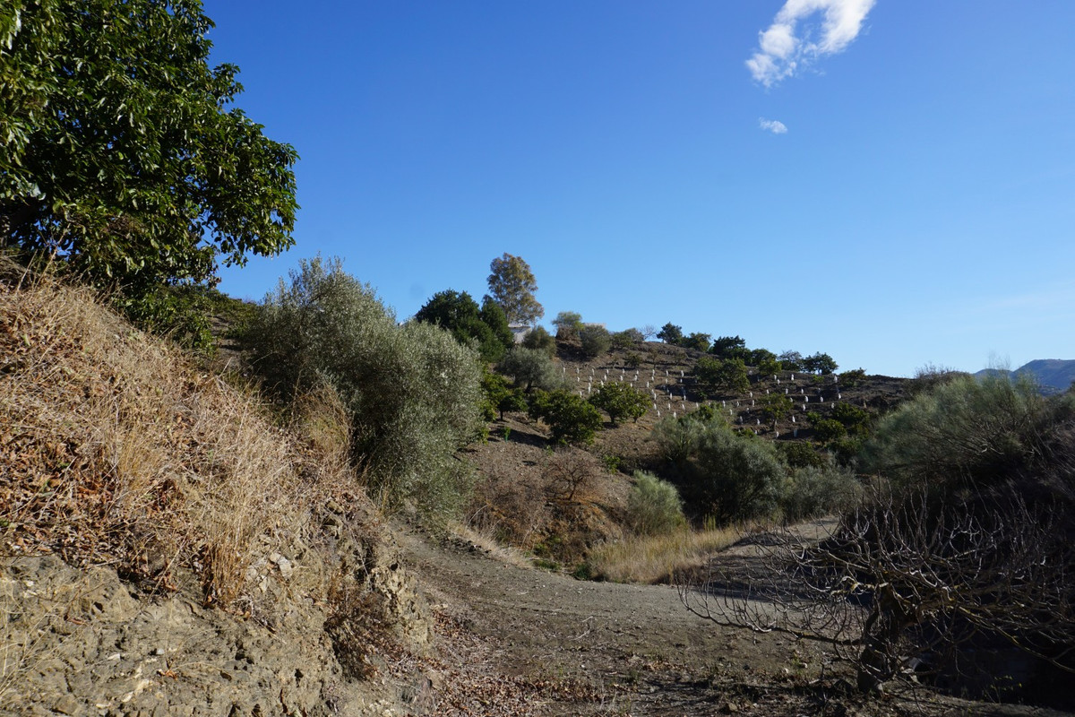 Se vende Finca - Cortijo de 3 dormitorios en Costa Del Sol East, Málaga, España