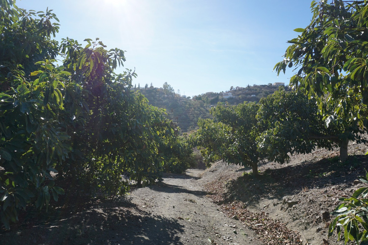 Se vende Finca - Cortijo de 3 dormitorios en Costa Del Sol East, Málaga, España