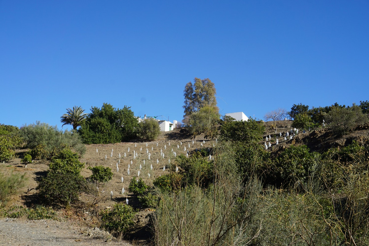 Se vende Finca - Cortijo de 3 dormitorios en Costa Del Sol East, Málaga, España