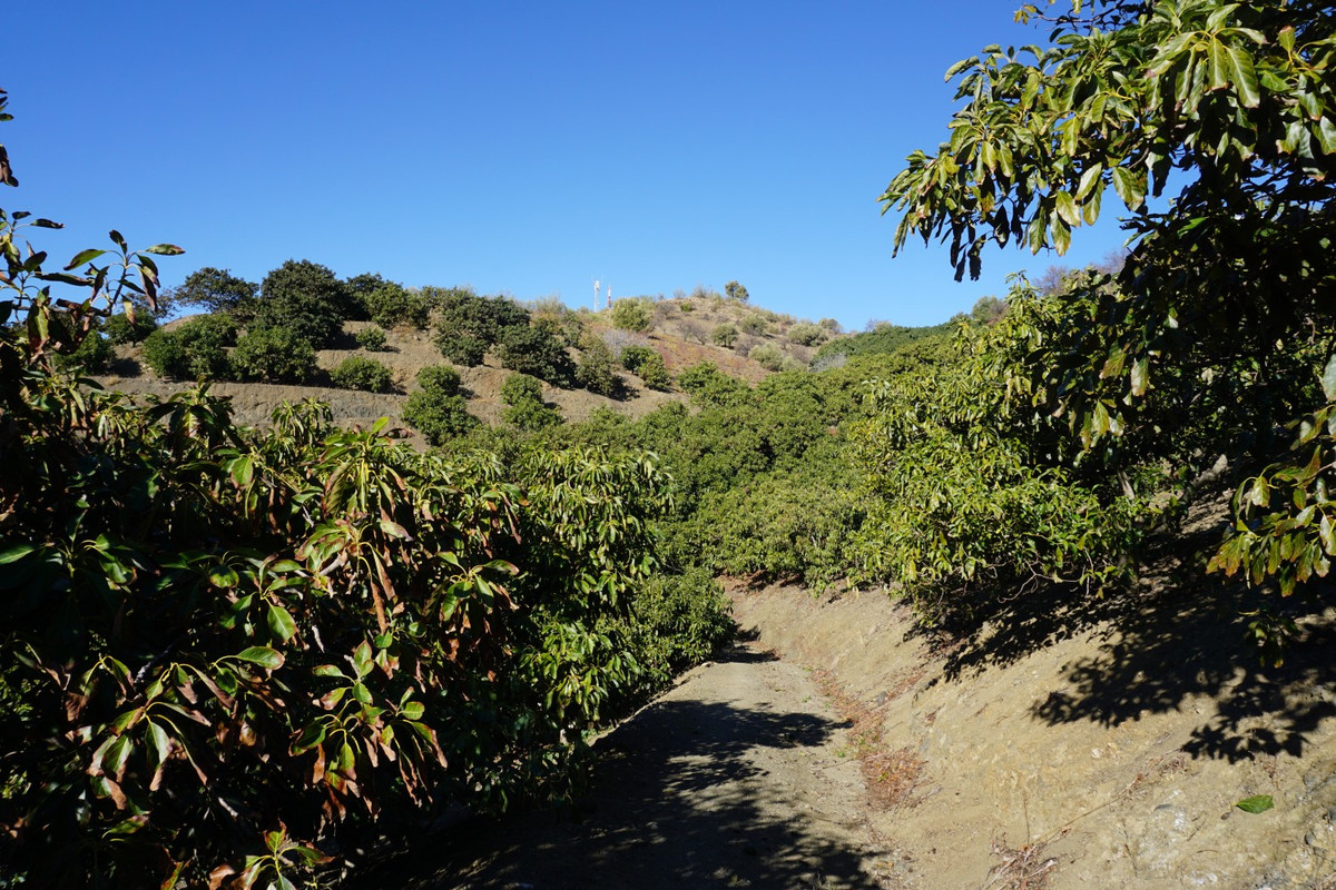 Se vende Finca - Cortijo de 3 dormitorios en Costa Del Sol East, Málaga, España