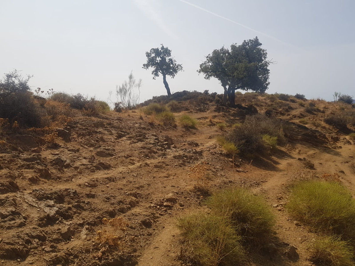Se vende Terreno Rustico  en Costa Del Sol, Málaga, España