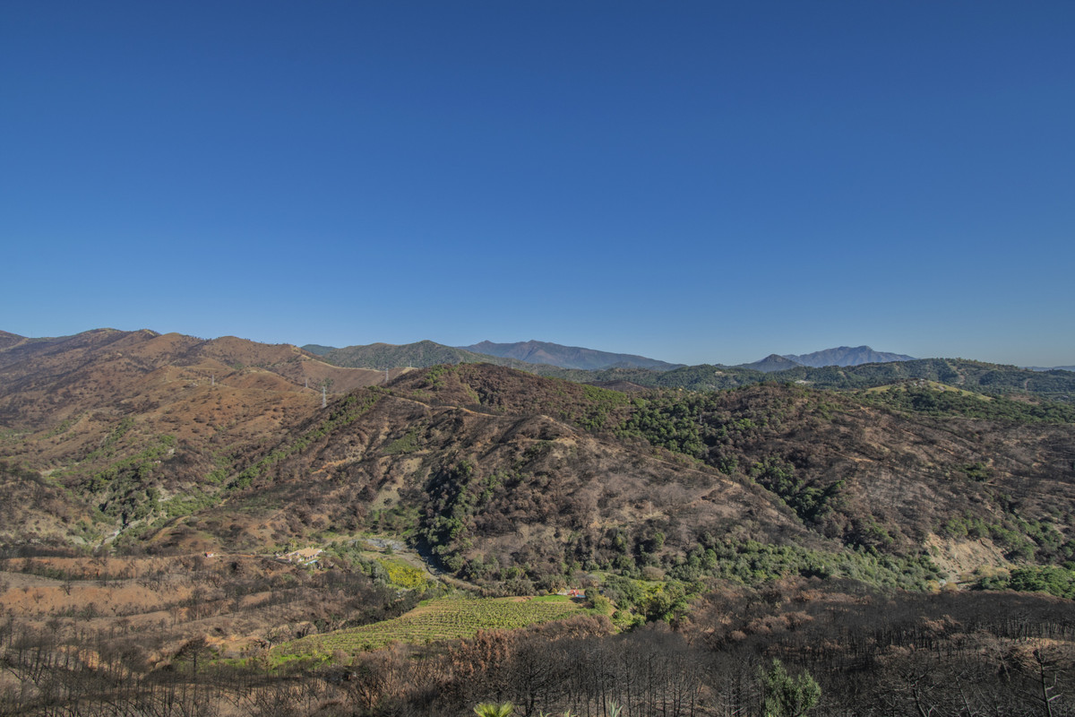Se vende Villa - Chalet de 7 dormitorios en Costa Del Sol, Málaga, España