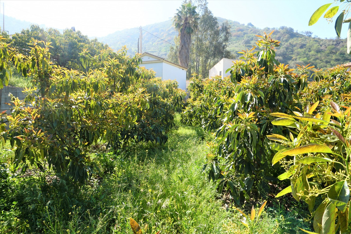 Se vende Terreno Rustico de 1 dormitorios en Costa Del Sol East, Málaga, España