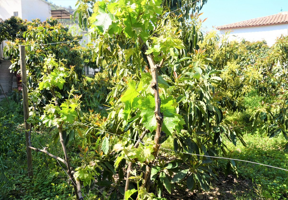Se vende Terreno Rustico de 1 dormitorios en Costa Del Sol East, Málaga, España
