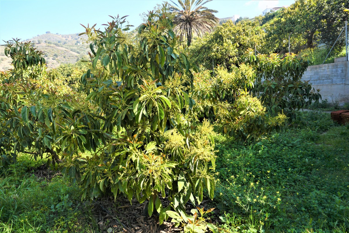 Se vende Terreno Rustico de 1 dormitorios en Costa Del Sol East, Málaga, España