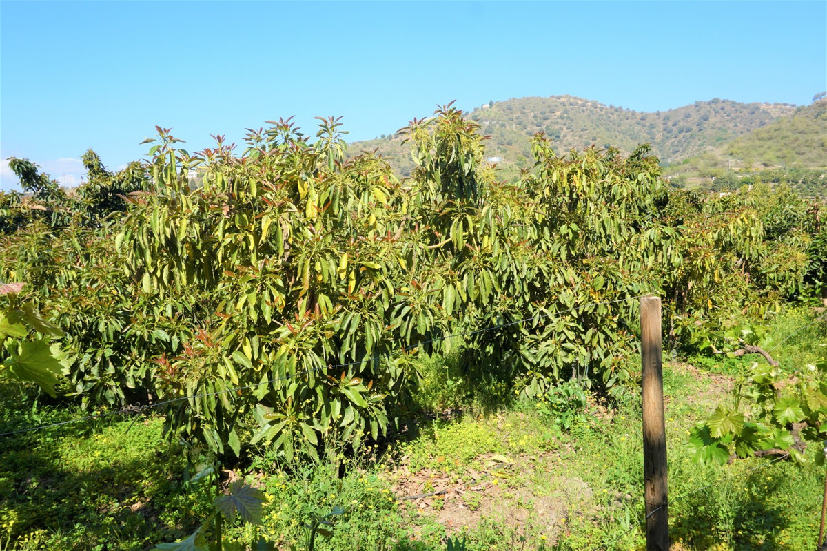 Se vende Terreno Rustico de 1 dormitorios en Costa Del Sol East, Málaga, España