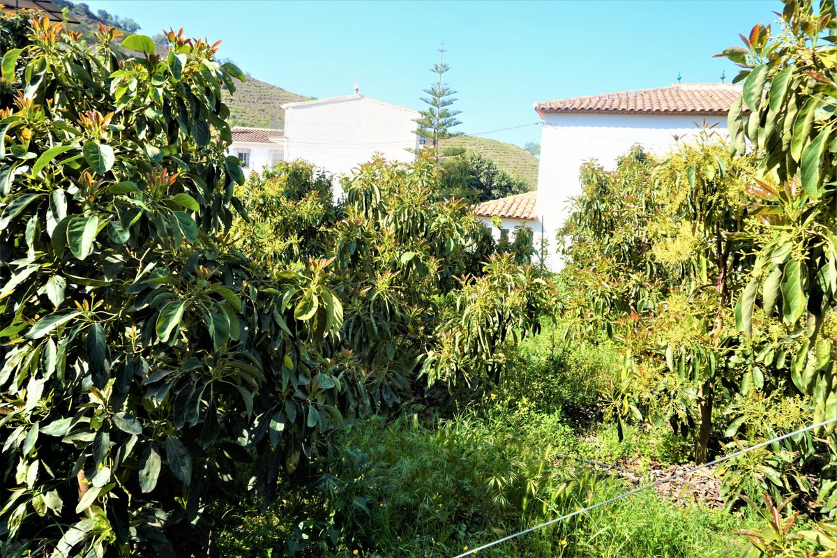 Se vende Terreno Rustico de 1 dormitorios en Costa Del Sol East, Málaga, España