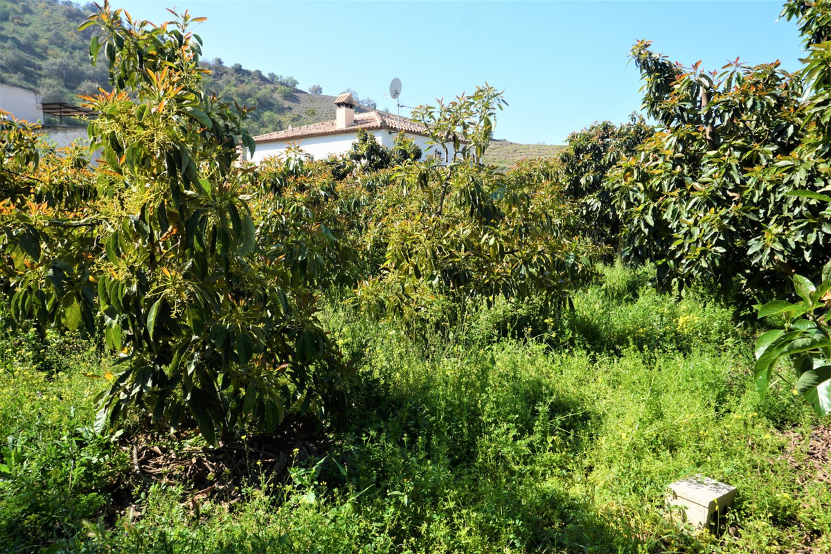 Se vende Terreno Rustico de 1 dormitorios en Costa Del Sol East, Málaga, España