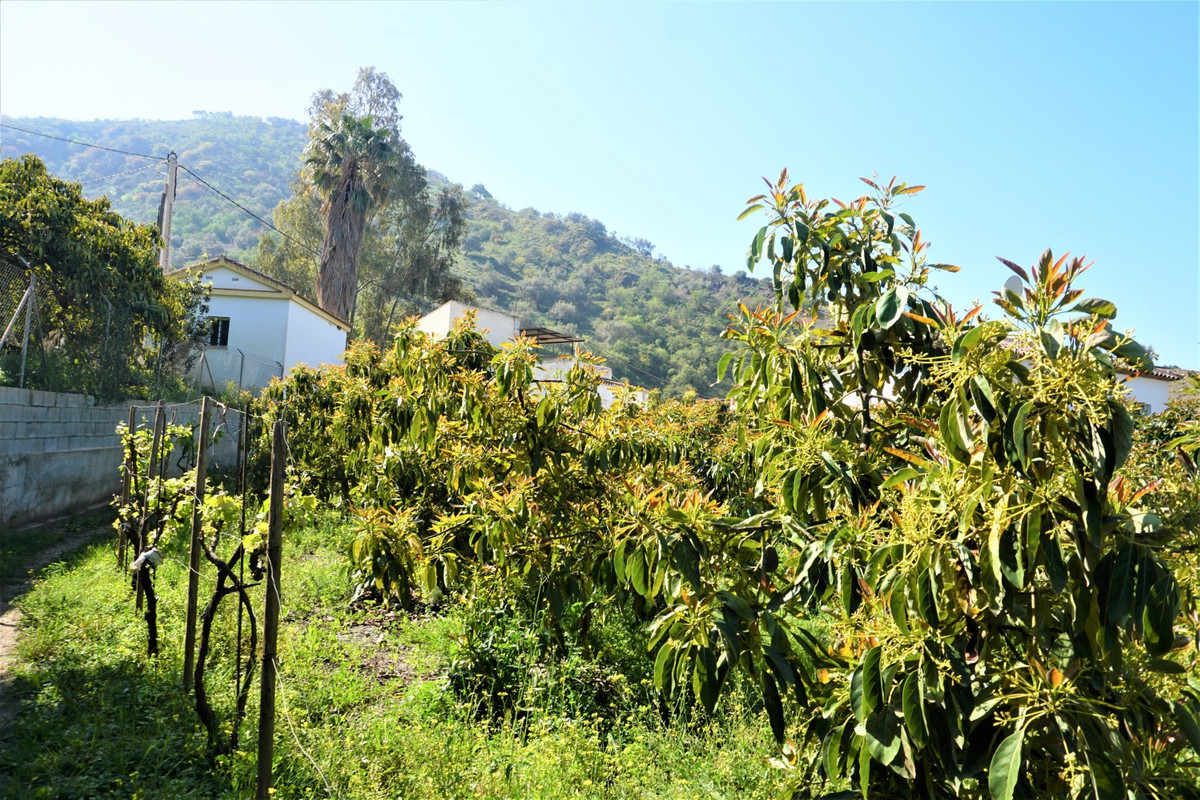 Se vende Terreno Rustico de 1 dormitorios en Costa Del Sol East, Málaga, España