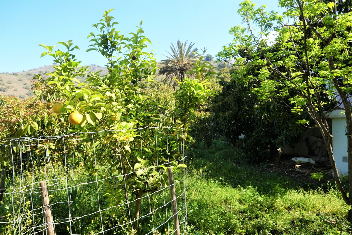 Se vende Terreno Rustico de 1 dormitorios en Costa Del Sol East, Málaga, España