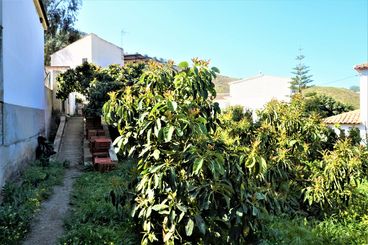 Se vende Terreno Rustico de 1 dormitorios en Costa Del Sol East, Málaga, España