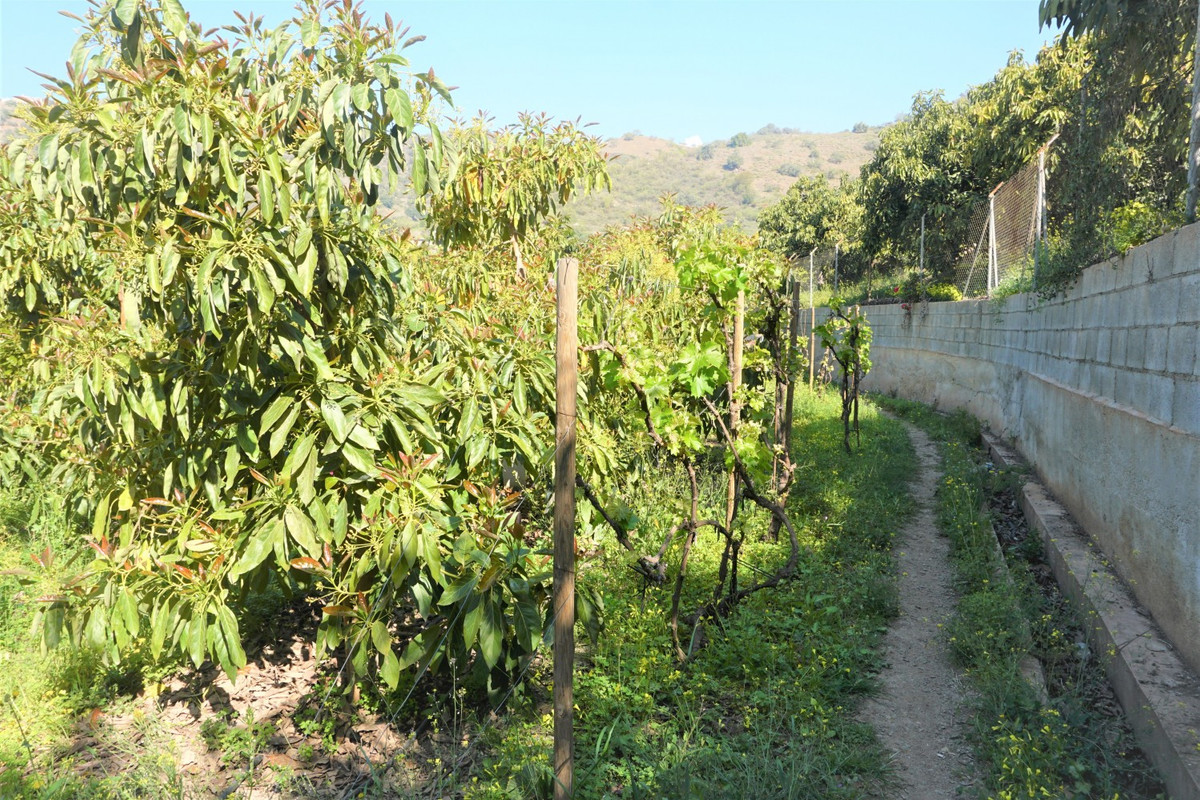 Se vende Terreno Rustico de 1 dormitorios en Costa Del Sol East, Málaga, España