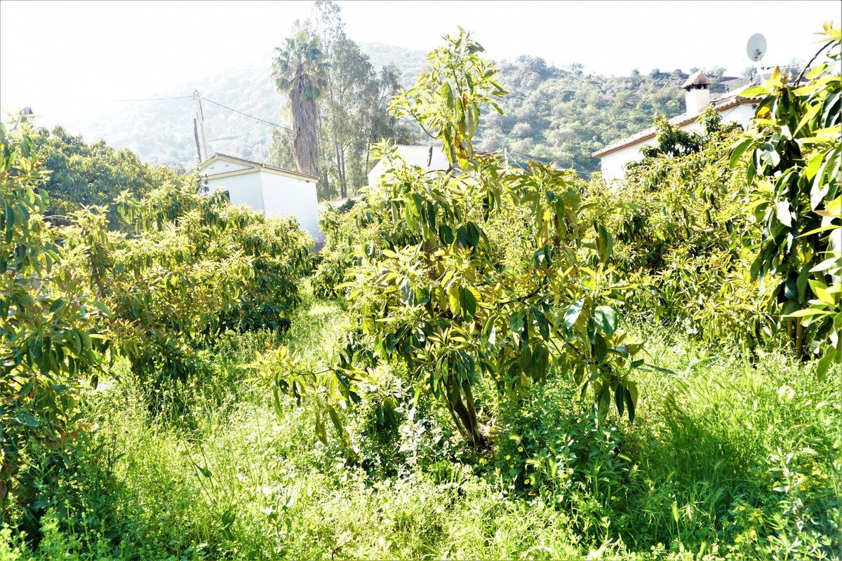 Se vende Terreno Rustico de 1 dormitorios en Costa Del Sol East, Málaga, España
